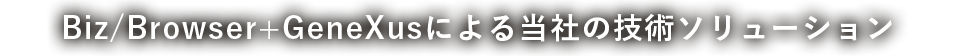 Biz/Browser+GeneXusによる当社の技術ソリューション